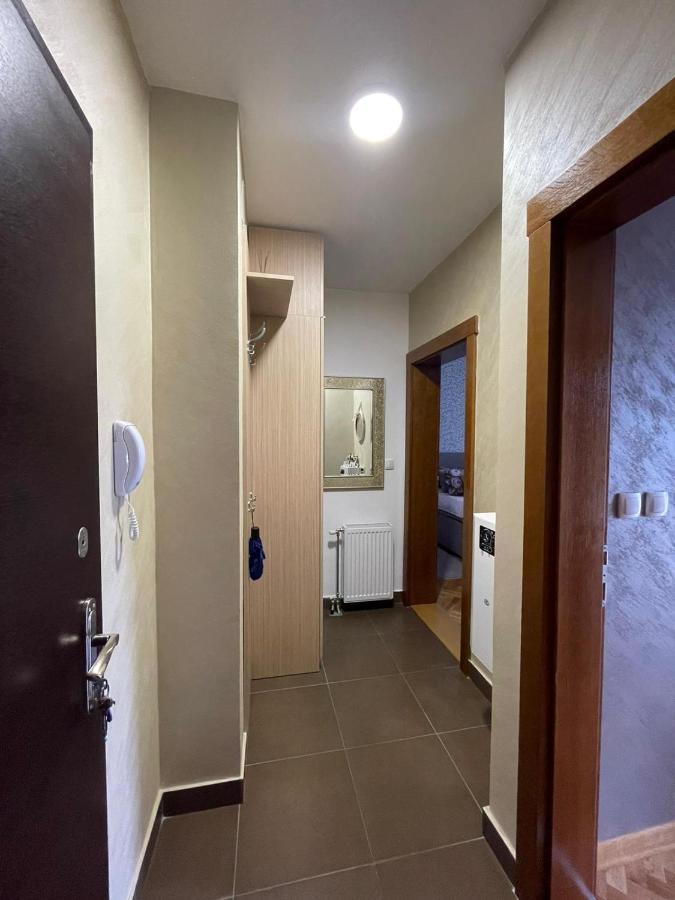 Apartman Miniki Vrnjačka Banja Εξωτερικό φωτογραφία