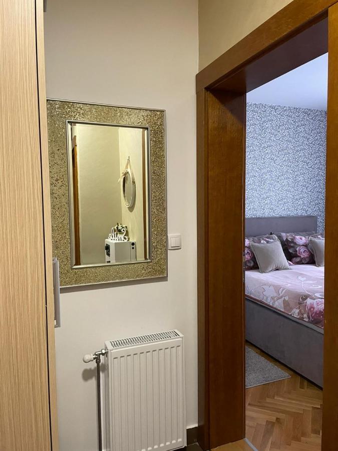 Apartman Miniki Vrnjačka Banja Εξωτερικό φωτογραφία