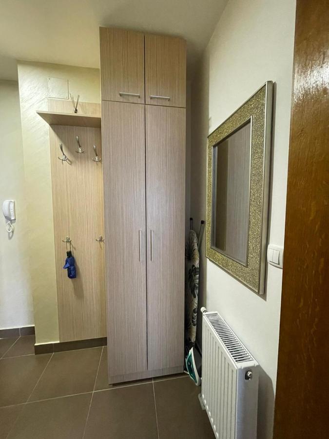 Apartman Miniki Vrnjačka Banja Εξωτερικό φωτογραφία
