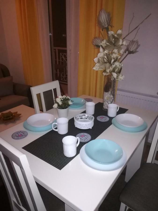Apartman Miniki Vrnjačka Banja Εξωτερικό φωτογραφία