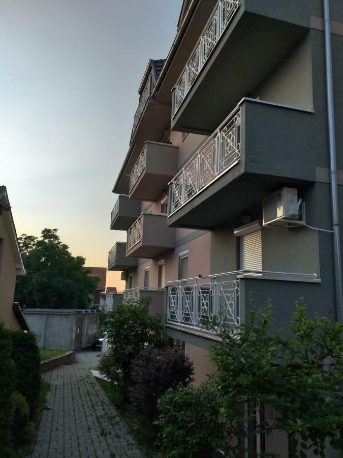 Apartman Miniki Vrnjačka Banja Εξωτερικό φωτογραφία